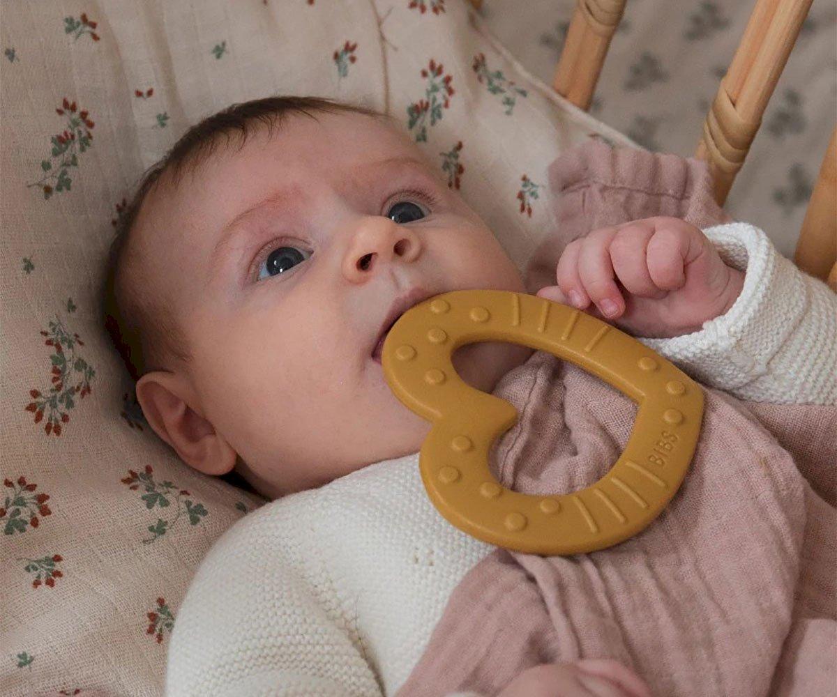 Star Sage Teether | Bibs