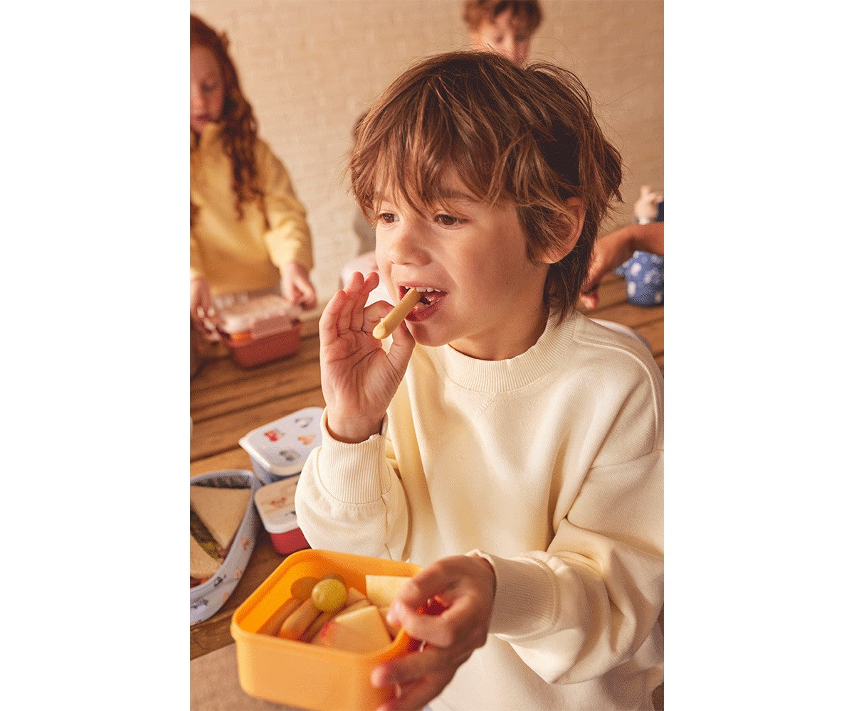 Pack de 3 caixas de Refeição Little Red | Tutete